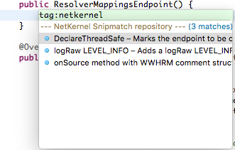 NetKernel Java Snipmatch Snippets