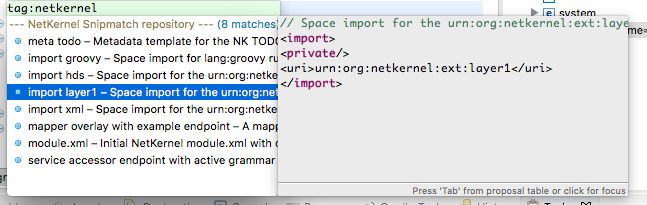 NetKernel XML Snipmatch Snippets